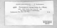 Image Associated With the Occurence